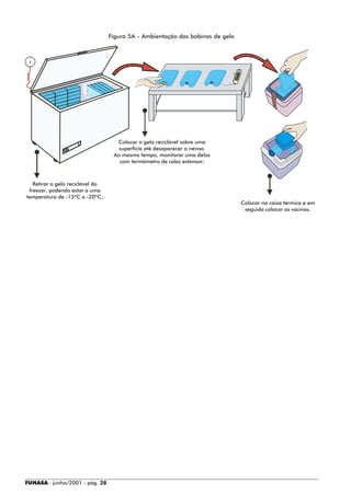 Figura 5A - Ambientação das bobinas de gelo




                                                                            0º
                                    Colocar o gelo reciclável sobre uma
                                     superfície até desaparecer a névoa.
                                   Ao mesmo tempo, monitorar uma delas
                                     com termômetro de cabo extensor;



   Retirar o gelo reciclável do
 freezer, podendo estar a uma
temperatura de -15ºC a -20ºC;
                                                                                 Colocar na caixa térmica e em
                                                                                  seguida colocar as vacinas.




FUNASA - junho/2001 - pág. 28
 