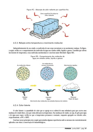 Figura 9C - Absorção de calor radiante por superfície fria

                                               Uma superfície fria absorve
                                                    calor radiante




      6.2.3. Relação entre temperatura e movimento molecular

       Independentemente do seu estado, as moléculas de um corpo encontram-se em movimento contínuo. Na figura,
a seguir, verifica-se o comportamento das moléculas da água nos estados sólido, líquido e gasoso. À medida que sofrem
incremento de temperatura, essas moléculas movimentam-se com bem maior liberdade (figura 9D).
                                  Figura 9D - Comportamento das moléculas de
                                     água em estados sólido, líquido e gasoso


                                                  As moléculas se
            As moléculas vibram                  movem livremente                  Movimentos rápidos




                    (Sólido)                         (Líquido)                           (Gasoso)
                      Gelo                             Água                            Vapor de água
                                Movimento das moléculas nos estados básicos da matéria


      6.2.4. Calor latente

       O calor latente é a quantidade de calor que se agrega ou se subtrai de uma substância para que ocorra uma
mudança de estado físico, sem que exista alteração na temperatura. Nas mudanças de estado, ou seja, de gelo para água
e de água para vapor, verifica-se que a temperatura permanece constante, enquanto agregado ou retirado calor,
respectivamente, a 0ºC e 100ºC.
       Com base nesses princípios são a seguir apresentadas algumas experiências onde os mesmos são convenientemente
aplicados com vistas à conservação de imunobiológicos.


                                                                                    FUNASA - junho/2001 - pág. 47
 