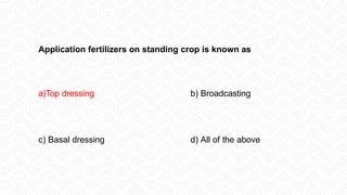 Application fertilizers on standing crop is known as
a)Top dressing b) Broadcasting
c) Basal dressing d) All of the above
 