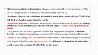  Rhizobium inoculant was first made in USA and commercialized by private enterprise in 1930s
and the strange situation at that time has been chronicled by Fred (1932).
 Azotobacter chroococcum - dominant inhabitant in arable soils capable of fixing N2 (2-15 mg
N2 fixed /g of carbon source) in culture media.
 Azospirillum lipoferum, A. brasilense, A.amazonense, A.halopraeferens and A.irakense are primary
inhabitants of soil, the rhizosphere and intercellular spaces of root cortex of graminaceous
plants.
 They perform the associative symbiotic relation with the graminaceous plants. Additional
benefits - growth promoting substance production (IAA), disease resistance and drought tolerance.
 Azolla is a free-floating water fern that floats in water and fixes atmospheric nitrogen in association
with nitrogen fixing blue green alga Anabaena azollae. It is used as biofertilizer for wetland rice
and it is known to contribute 40-60 kg N/ha per rice crop.
 