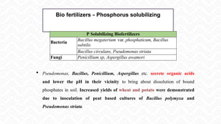Bio fertilizers – Phosphorus solubilizing
 Pseudomonas, Bacillus, Penicillium, Aspergillus etc. secrete organic acids
and lower the pH in their vicinity to bring about dissolution of bound
phosphates in soil. Increased yields of wheat and potato were demonstrated
due to inoculation of peat based cultures of Bacillus polymyxa and
Pseudomonas striata.
P Solubilizing Biofertilizers
Bacteria
Bacillus megaterium var. phosphaticum, Bacillus
subtilis
Bacillus circulans, Pseudomonas striata
Fungi Penicillium sp, Aspergillus awamori
 