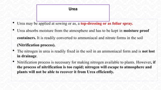 Urea
 Urea may be applied at sowing or as, a top-dressing or as foliar spray.
 Urea absorbs moisture from the atmosphere and has to be kept in moisture proof
containers. It is readily converted to ammoniacal and nitrate forms in the soil
(Nitrification process).
 The nitrogen in urea is readily fixed in the soil in an ammoniacal form and is not lost
in drainage.
 Nitrification process is necessary for making nitrogen available to plants. However, if
the process of nitrification is too rapid; nitrogen will escape to atmosphere and
plants will not be able to recover it from Urea efficiently.
 