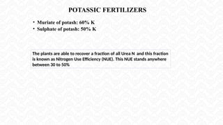 POTASSIC FERTILIZERS
• Muriate of potash: 60% K
• Sulphate of potash: 50% K
The plants are able to recover a fraction of all Urea N and this fraction
is known as Nitrogen Use Efficiency (NUE). This NUE stands anywhere
between 30 to 50%
 