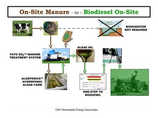 On-Site Manure   - to –  Biodiesel On-Site BIODIGESTER NOT REQUIRED ONE-STEP TO BIODIESEL ALGEPONICS™ HYDROPONIC ALGAE FARM PATZ OZy™ MANURE TREATMENT SYSTEM ALGAE OIL 