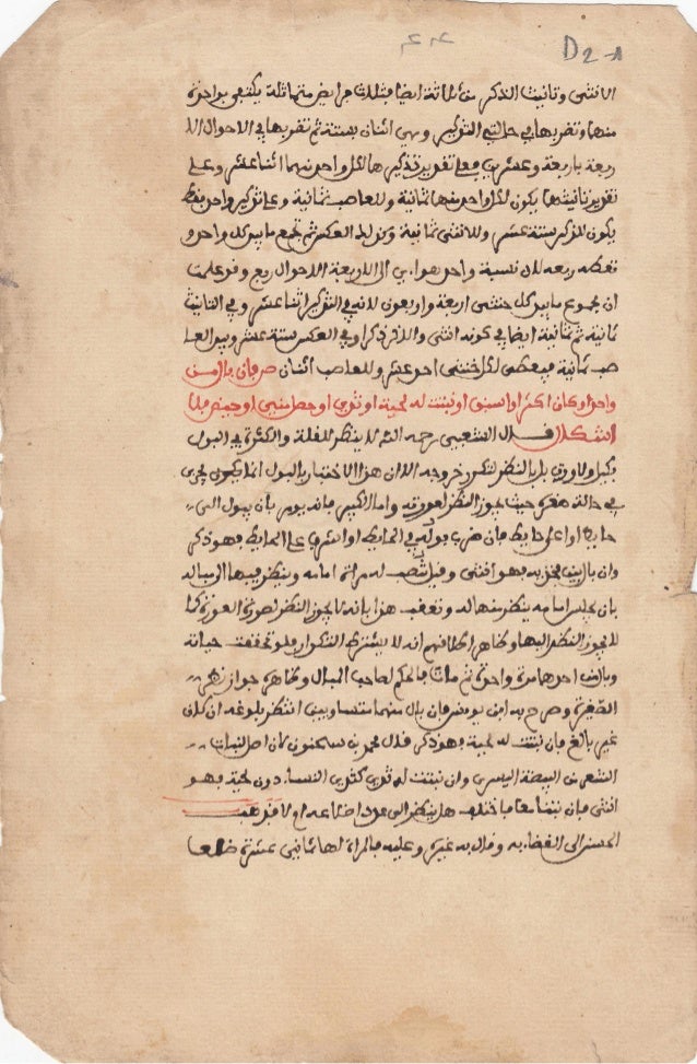 Manuscrit4
