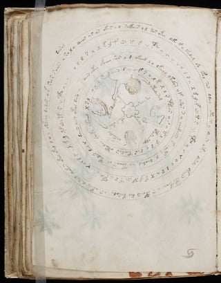 Manuscrito voynich