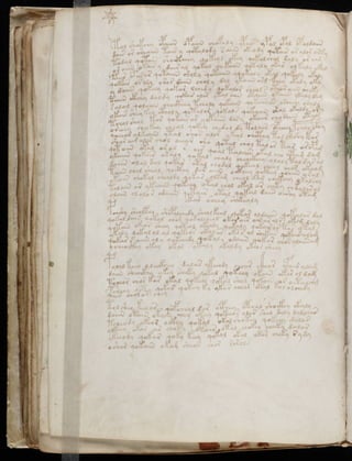Manuscrito voynich