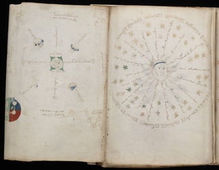 Manuscrito voynich