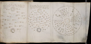 Manuscrito voynich