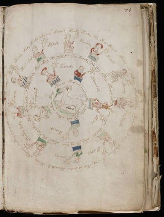 Manuscrito voynich