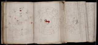 Manuscrito voynich