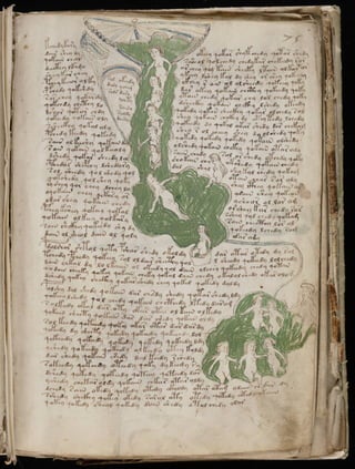 Manuscrito voynich