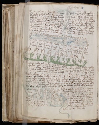 Manuscrito voynich