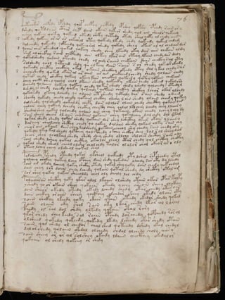 Manuscrito voynich