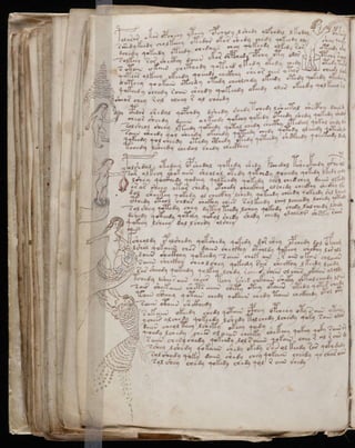 Manuscrito voynich