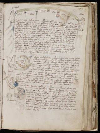 Manuscrito voynich