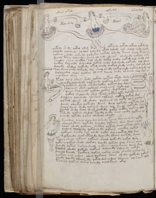Manuscrito voynich