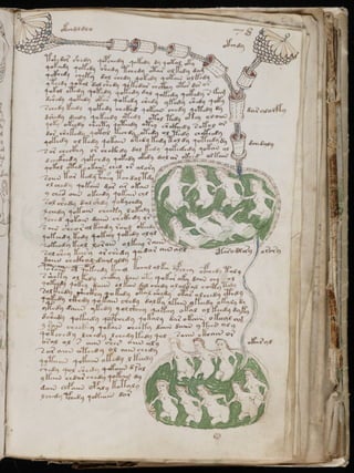 Manuscrito voynich