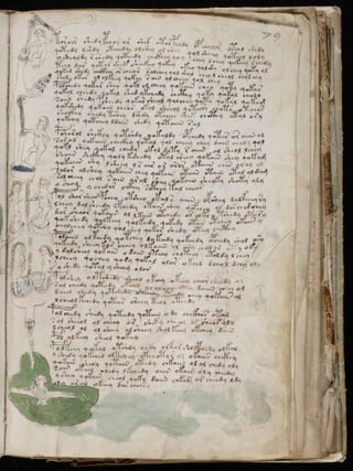 Manuscrito voynich