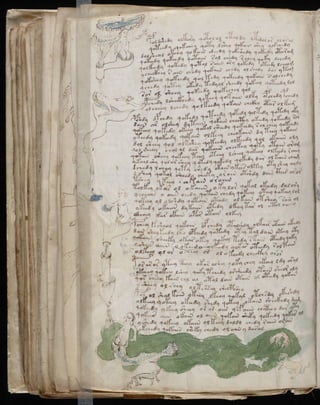 Manuscrito voynich