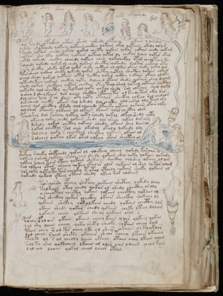Manuscrito voynich
