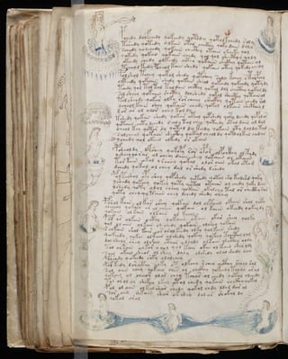 Manuscrito voynich