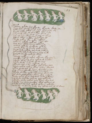 Manuscrito voynich