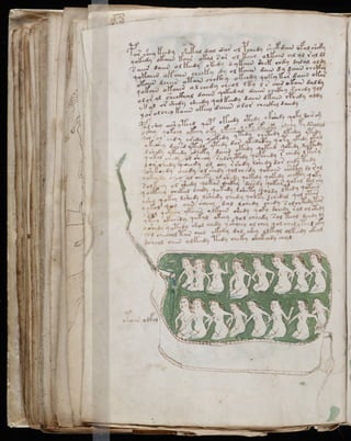Manuscrito voynich