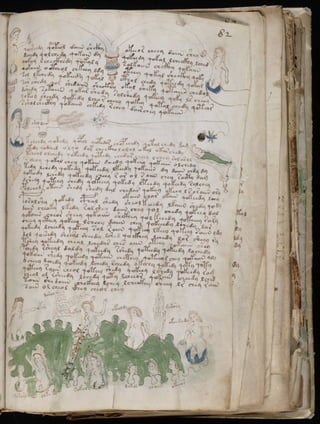 Manuscrito voynich