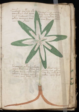 Manuscrito voynich