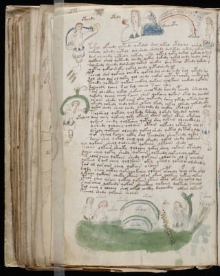 Manuscrito voynich
