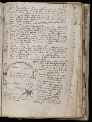 Manuscrito voynich