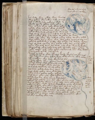 Manuscrito voynich