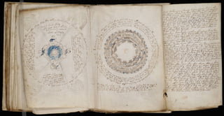 Manuscrito voynich