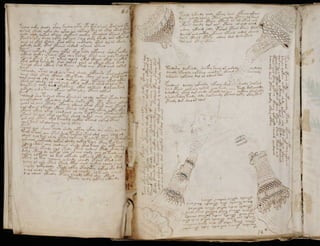 Manuscrito voynich