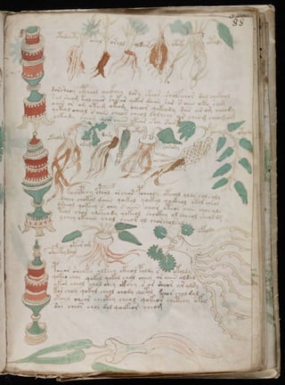 Manuscrito voynich