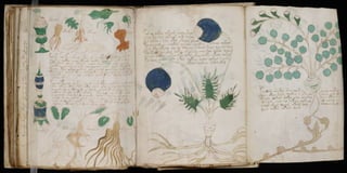 Manuscrito voynich
