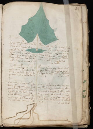 Manuscrito voynich