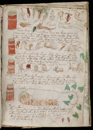 Manuscrito voynich