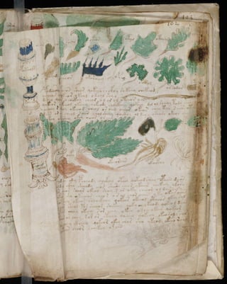 Manuscrito voynich