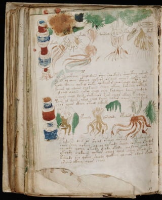 Manuscrito voynich