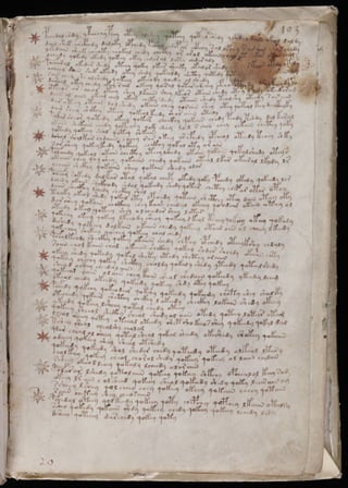 Manuscrito voynich
