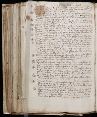 Manuscrito voynich