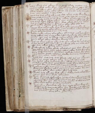 Manuscrito voynich