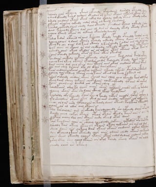 Manuscrito voynich