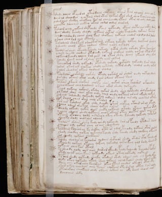 Manuscrito voynich