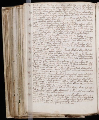 Manuscrito voynich