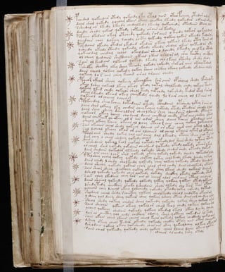 Manuscrito voynich