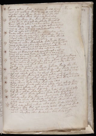 Manuscrito voynich