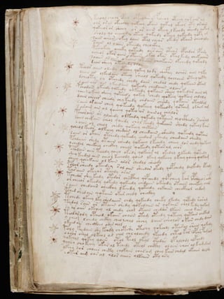 Manuscrito voynich